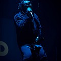 Skindred2019_29.jpg