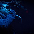 Skindred2019_31.jpg