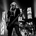 Mastodon2019_03.jpg
