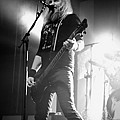 Mastodon2019_07.jpg
