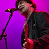 ChameleonsVox2018_26.jpg