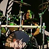 WASP_59.JPG