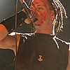 Varg 1.JPG
