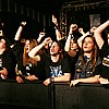 Fans_05.JPG